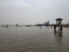 -碧海金沙