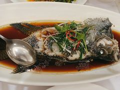 -骏莱海鲜鱼港(五角场店)