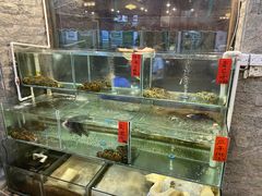 水产区-御膳粥·牛乳粥底火锅·地道顺德菜(容桂店)