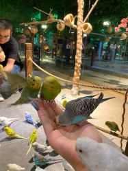 -酷嗒动物文化乐园(cutezoo西溪乐天城店)