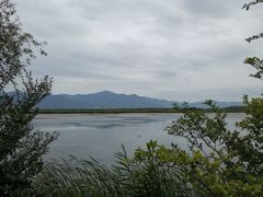 -野鸭湖国家湿地公园