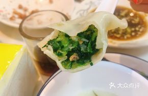 Vegetable Fried Dumplings