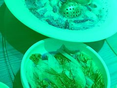 -九毛九西北菜(大东海店)