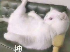 -天下玉苑