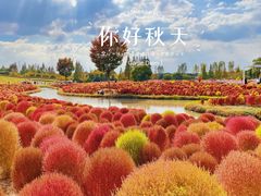 -花开海上生态园