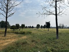 -汉长安城未央宫国家考古遗址公园