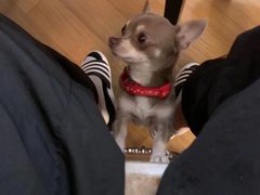 -美玲拉面(鞍山西道店)