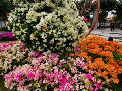 -人民公园(罗湖区)