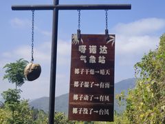 -呀诺达热带雨林