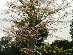 -荔湾区儿童公园