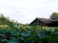 -莫催咖啡