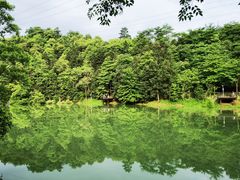 -天花井景区
