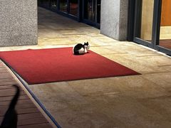 -漓咖啡西餐厅 · 桂林香格里拉