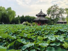 -莲池书院博物馆