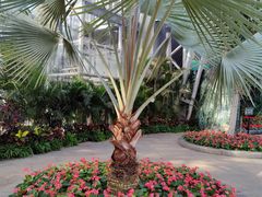 -北京植物园-展览温室