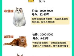 -瑞派申生动物医院·24H夜诊·国际动物医疗中心·骨外科(吴中路店)