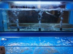 -清雅轩·清真菜·春饼•烤鸭(滑翔店)