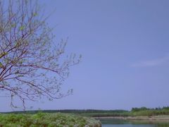 -丁香湖公园