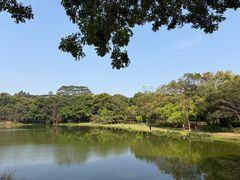 -东莞植物园