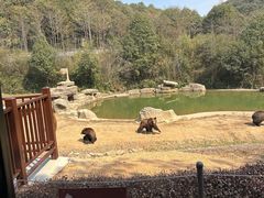 -杭州野生动物世界