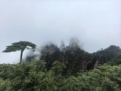 -三清山风景名胜区