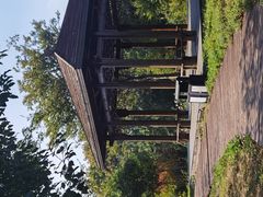 -南湖湿地公园
