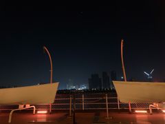 -武汉知音号