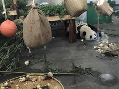 -无锡动物园·太湖欢乐园