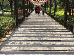 -白马涧龙池景区