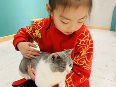 -飞行喵MR PILOT|猫舍·猫咖(静安大融城店)