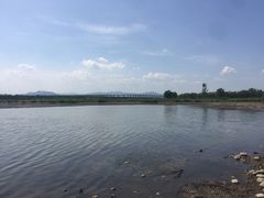 -绿堤公园