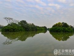 -大湾区中央湿地公园