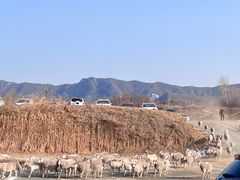 -北京南山滑雪场
