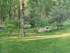 -北京野生动物园