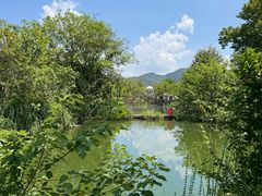 -黄陂区野村谷景区