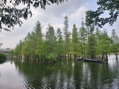 -白鹭湾湿地公园