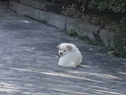 -宫铭烫发染发接发店