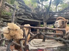 -长鹿旅游休博园