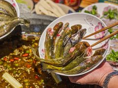 -石锅苗苗鱼(武汉首店)