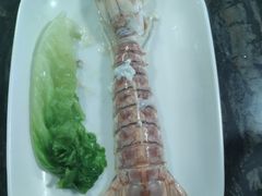 -蚝专家