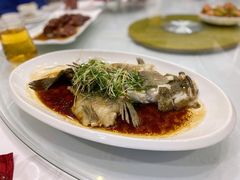 清蒸石斑鱼-君海悦酒楼