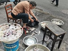 -巴哈面店(沈家门西大街店)