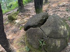 -火炉山森林公园