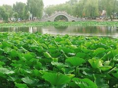 -长春市南湖公园