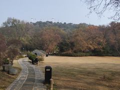 -东湖磨山景区