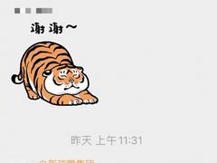 -美联众合动物医院·24h转诊中心