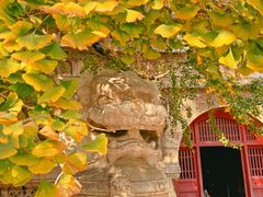 -北京石刻艺术博物馆(五塔寺)