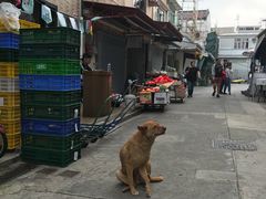 -大澳渔村及棚屋