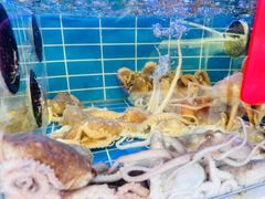 -金海湾海鲜排档(朱家尖店)