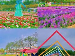 -盈香心动乐园